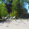 Владивосток