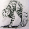 Кошка