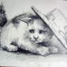 Кошка