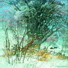 Rime