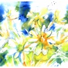 Ромашки