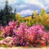 Багульник в бухте Теляковского