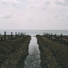 waytosea