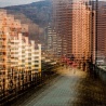 Фракталы