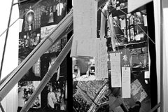 Ненаживина Ольга. «Путешествие»