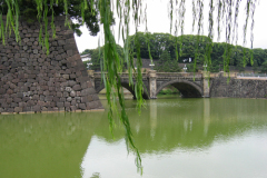 Ненаживина Ольга. «Путешествие»