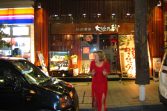 Ненаживина Ольга. «Путешествие»