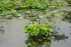 Ненаживина Ольга. «Путешествие»