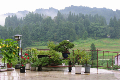 Ненаживина Ольга. «Путешествие»