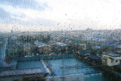 Ненаживина Ольга. «Путешествие»