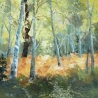 Ольга Шапранова. «Берёзовая роща»